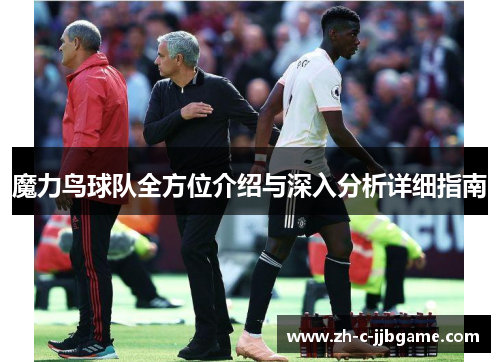 魔力鸟球队全方位介绍与深入分析详细指南